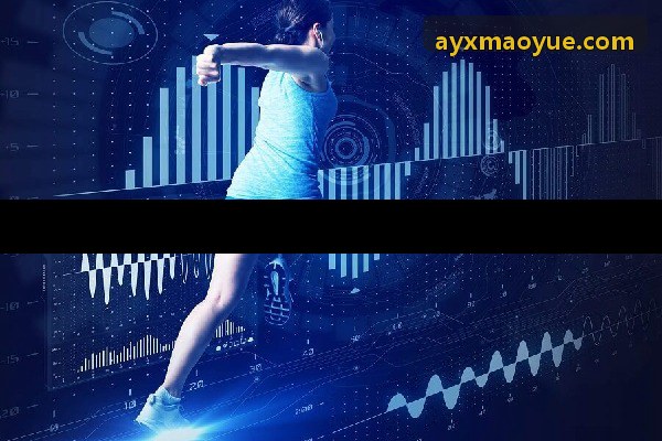 AYX后台架构数据流示意图